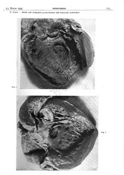 Pathologica rivista quindicinale