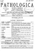 giornale/CFI0361052/1935/unico/00000391