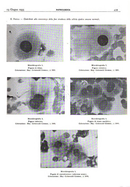 Pathologica rivista quindicinale