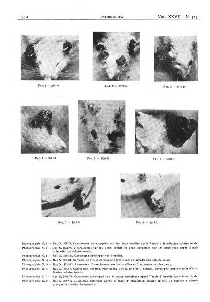 Pathologica rivista quindicinale