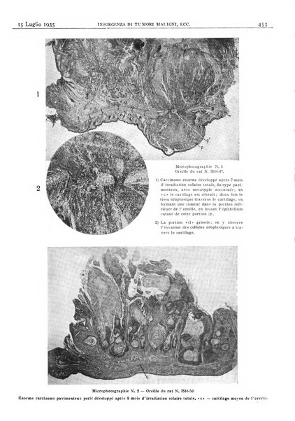 Pathologica rivista quindicinale