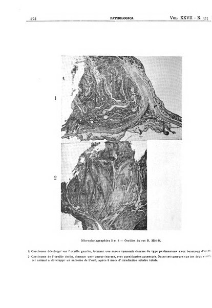 Pathologica rivista quindicinale