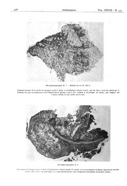 Pathologica rivista quindicinale