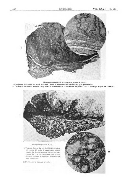 Pathologica rivista quindicinale