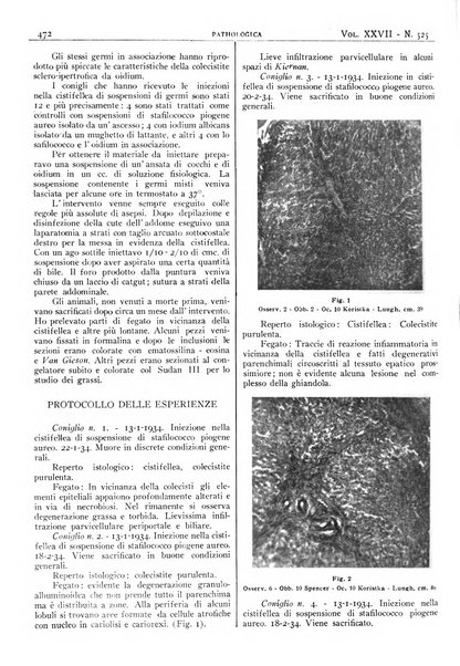 Pathologica rivista quindicinale