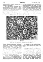 giornale/CFI0361052/1935/unico/00000504