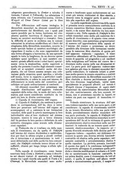 Pathologica rivista quindicinale