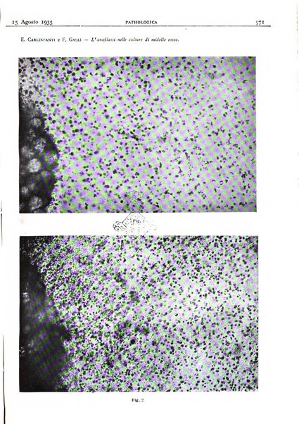 Pathologica rivista quindicinale