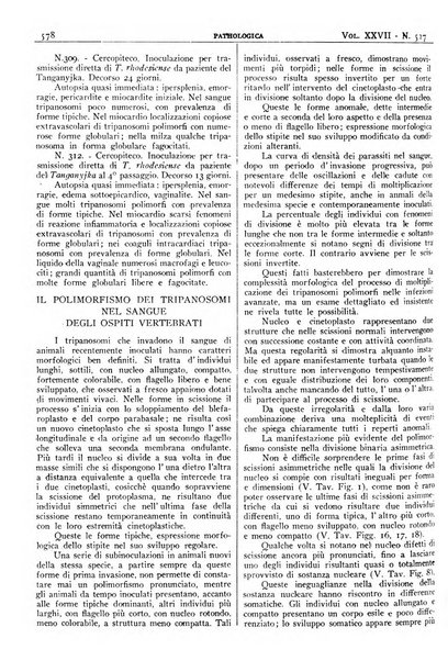 Pathologica rivista quindicinale