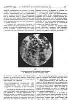 giornale/CFI0361052/1935/unico/00000613
