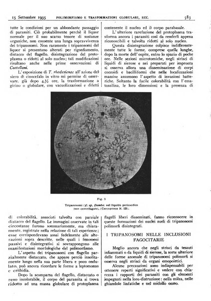 Pathologica rivista quindicinale