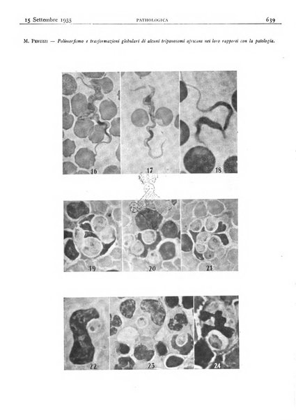 Pathologica rivista quindicinale