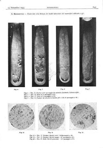 Pathologica rivista quindicinale