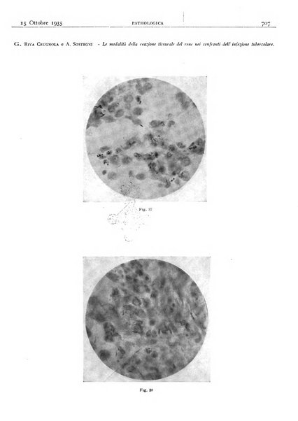 Pathologica rivista quindicinale