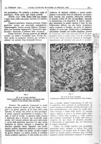 giornale/CFI0361052/1935/unico/00000839