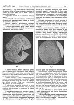 giornale/CFI0361052/1935/unico/00000875