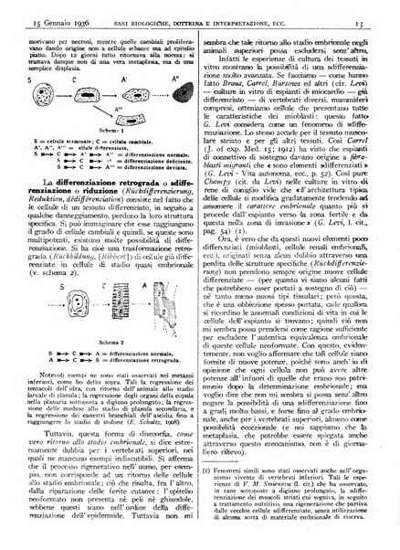 Pathologica rivista quindicinale