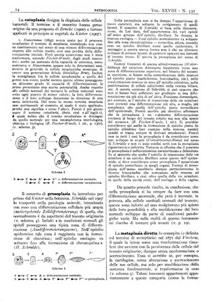 Pathologica rivista quindicinale