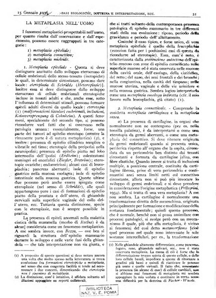 Pathologica rivista quindicinale