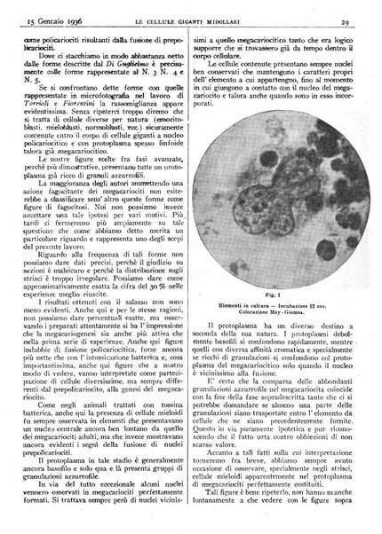 Pathologica rivista quindicinale