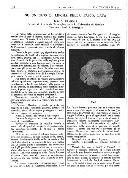 Pathologica rivista quindicinale