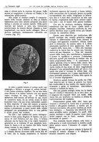 giornale/CFI0361052/1936/unico/00000045