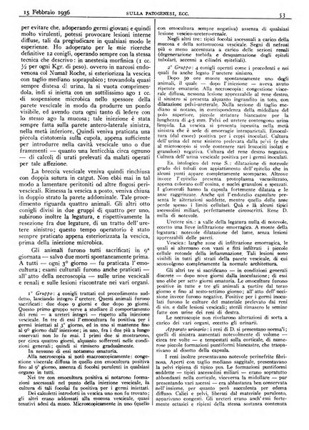 Pathologica rivista quindicinale