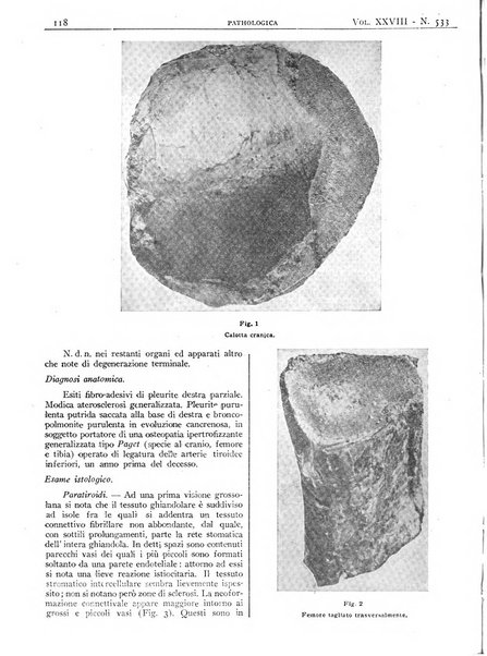 Pathologica rivista quindicinale