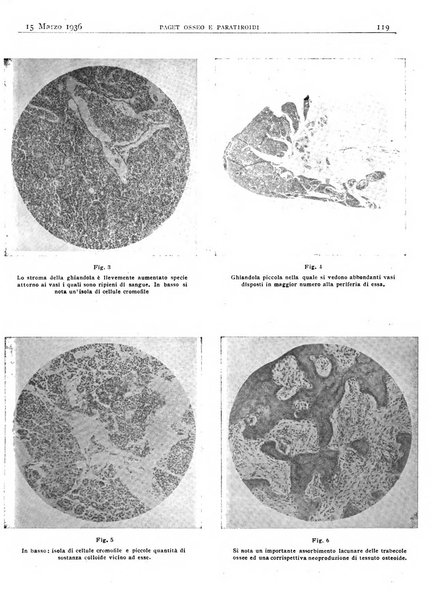 Pathologica rivista quindicinale