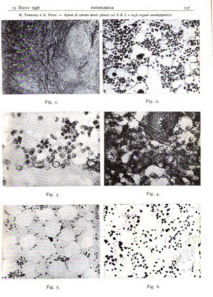 Pathologica rivista quindicinale