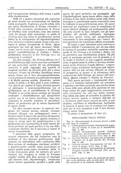 Pathologica rivista quindicinale