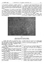 giornale/CFI0361052/1936/unico/00000207