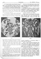 giornale/CFI0361052/1936/unico/00000252