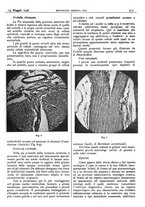 giornale/CFI0361052/1936/unico/00000253