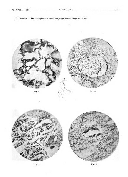 Pathologica rivista quindicinale