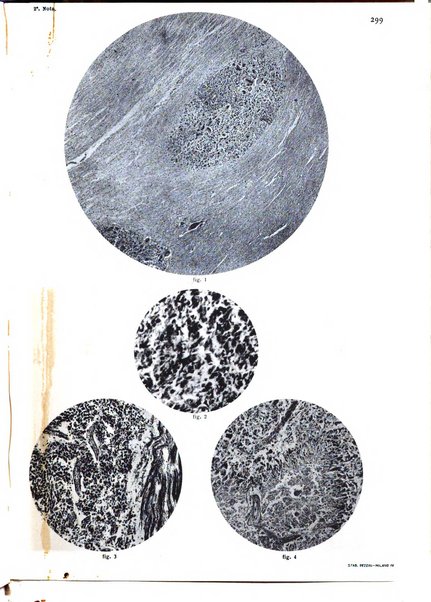 Pathologica rivista quindicinale