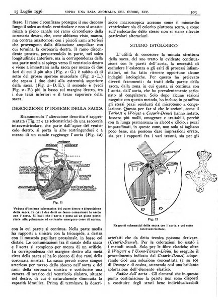 Pathologica rivista quindicinale