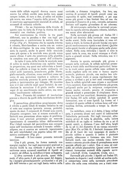 Pathologica rivista quindicinale