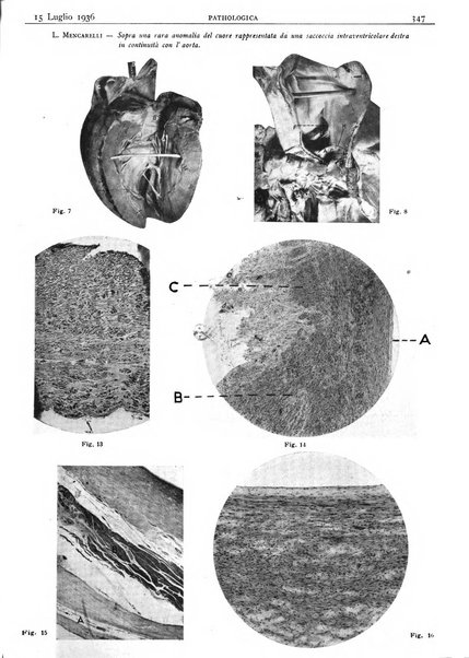 Pathologica rivista quindicinale