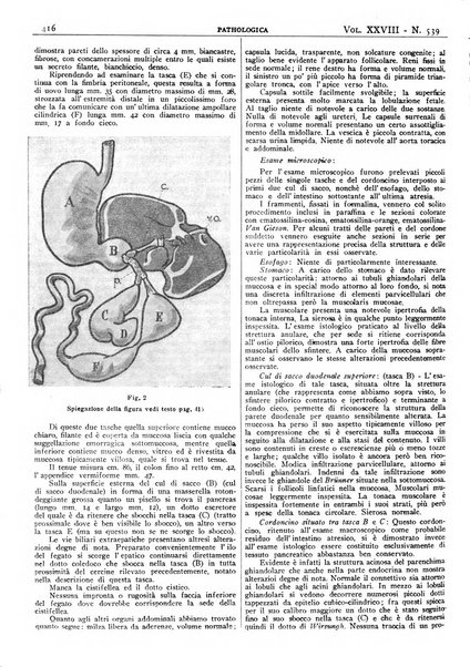 Pathologica rivista quindicinale