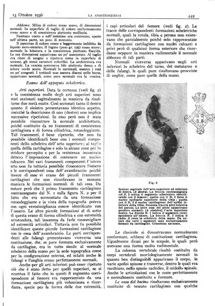 Pathologica rivista quindicinale