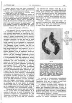 giornale/CFI0361052/1936/unico/00000505