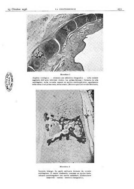 Pathologica rivista quindicinale