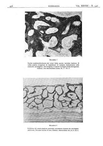 Pathologica rivista quindicinale