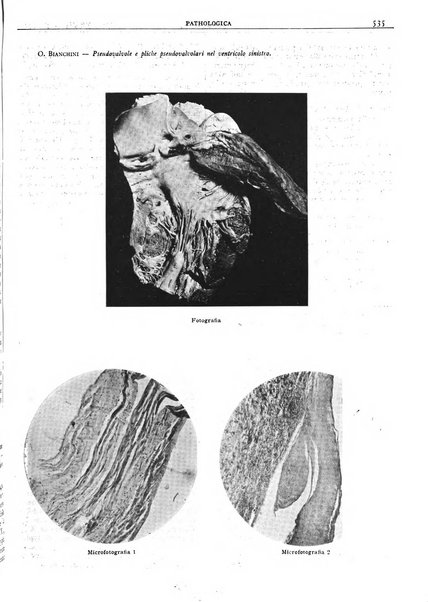 Pathologica rivista quindicinale