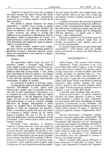 Pathologica rivista quindicinale