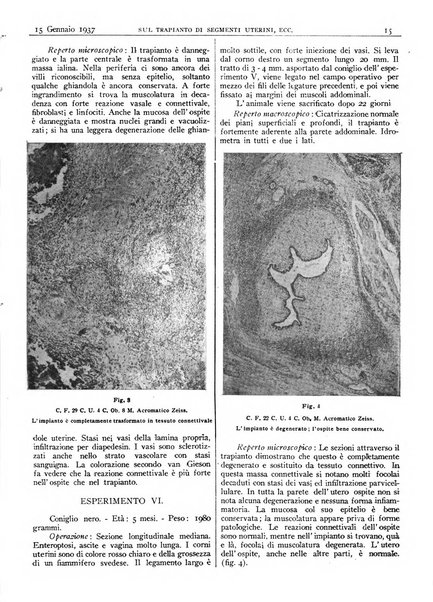 Pathologica rivista quindicinale