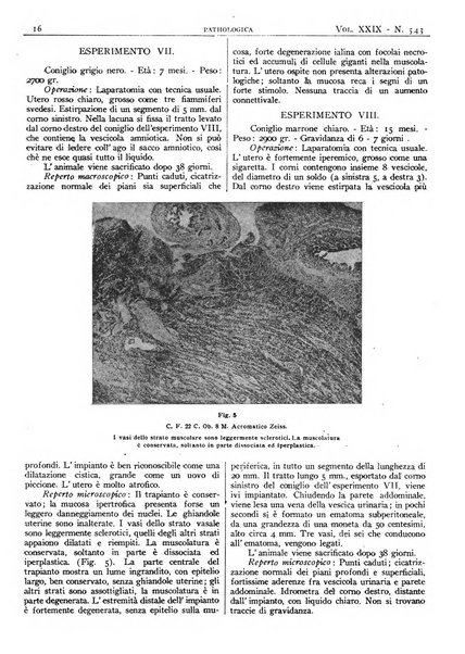 Pathologica rivista quindicinale