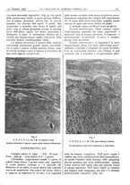 giornale/CFI0361052/1937/unico/00000025