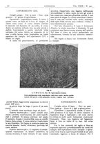 giornale/CFI0361052/1937/unico/00000026